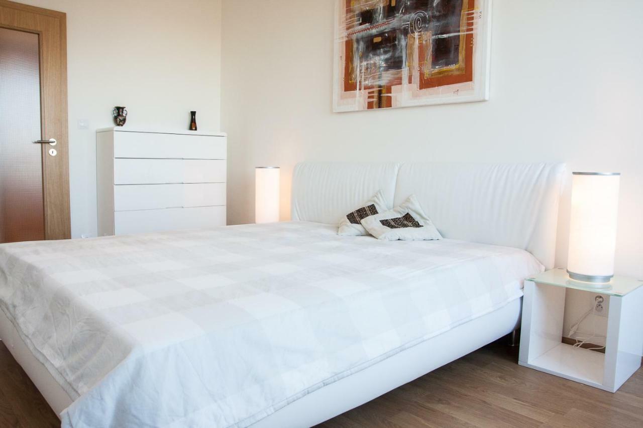 Prostorny 3 Pokojovy Apartman S Dvema Terasami 布拉格 外观 照片