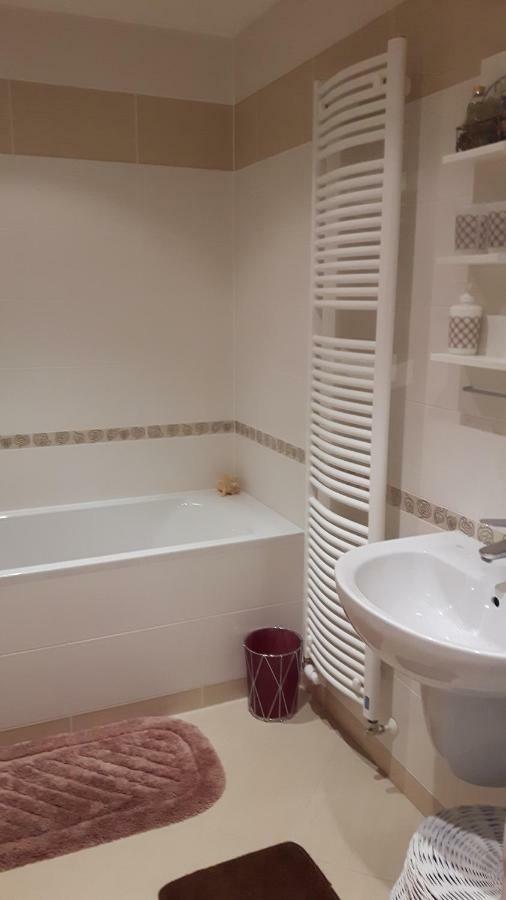 Prostorny 3 Pokojovy Apartman S Dvema Terasami 布拉格 外观 照片
